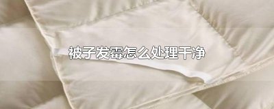 ​被子发霉怎么处理干净