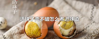 ​活珠子壳不破怎么煮进味道