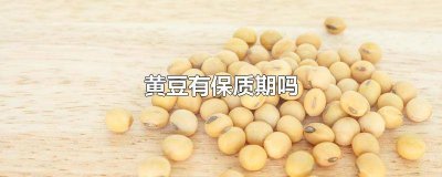 ​黄豆有保质期吗? 黄豆的保质期是多久呢?