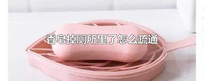 ​香皂掉厕所里了怎么疏通