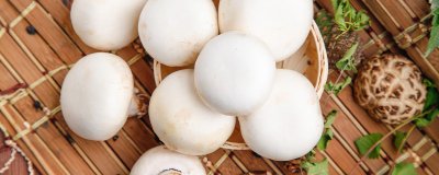 ​口蘑是白蘑菇吗