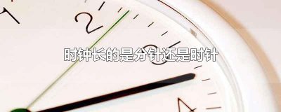 ​时钟长的是分针还是时针