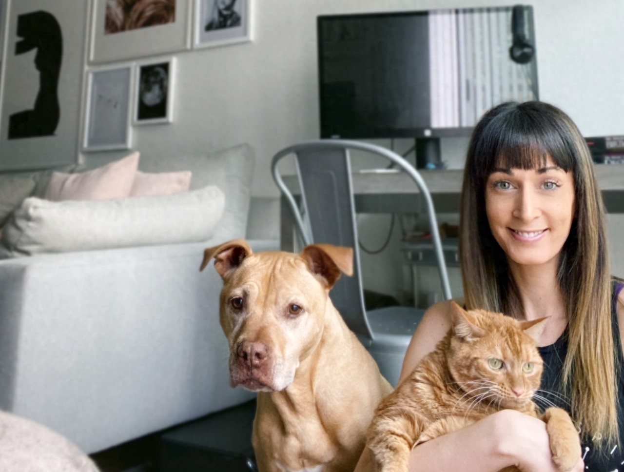 这只比特犬，爱心满满，打破了人们对它的刻板印象