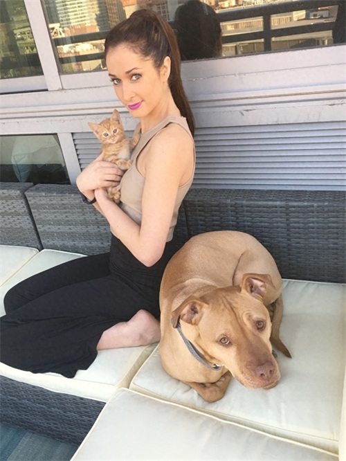 这只比特犬，爱心满满，打破了人们对它的刻板印象