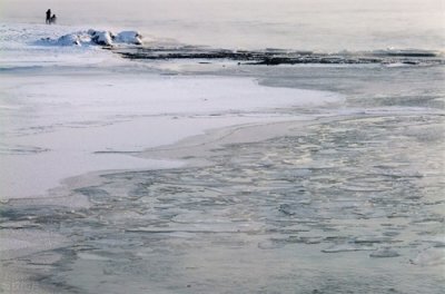 ​农村俗语“三九不冷看六九，六九不冷倒春寒”，今年啥时候三九？