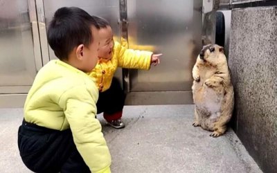 ​为什么有些人会“吓尿”，而有些人不会？