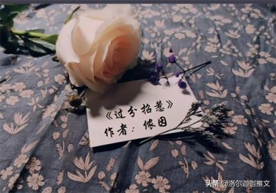 ​五本最新完结久别重逢文：和你分开后，我活成了你的样子