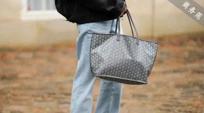 ​Goyard涨价，中产排队疯抢“蛇皮袋”！保值率为什么超爱马仕？