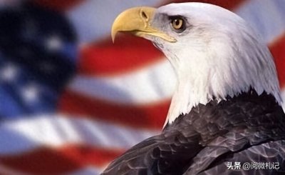 ​中国4位鹰派人物，有人扬言灭掉日本，还有的要摧毁美国数百座城