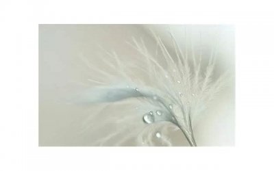 ​愚人节和属兔的妹子相亲聊微信聊什么