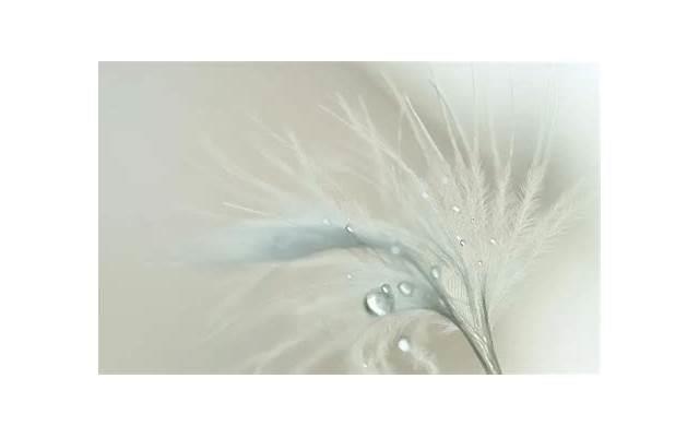 愚人节和属兔的妹子相亲聊微信聊什么