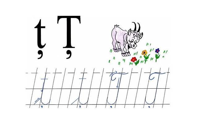 有头脑的金牛座 有头脑的金牛座