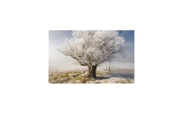 错过的都是风景,拥有的才是命中注定 错过的都是风景,拥有的才是命中注定