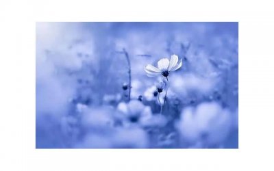 ​男女朋友吵架最好的处理方式是什么