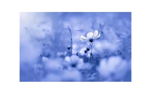 男女朋友吵架最好的处理方式是什么