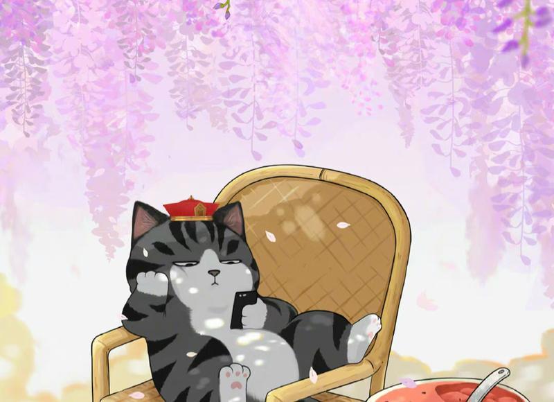 理性跟感性的关系