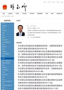 ​外交部原发言人洪磊的新职务