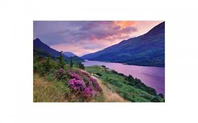 ​孩子意外走了可以烧纸吗