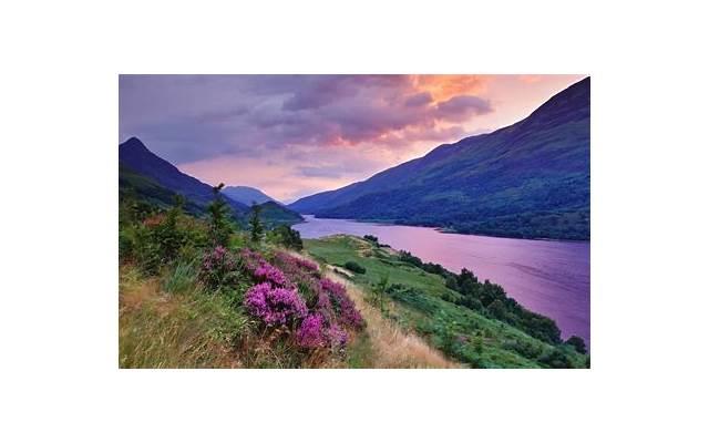 孩子意外走了可以烧纸吗