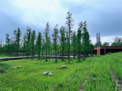 ​周末打卡昆明7个让你去了还想去的湿地公园，最重要的是免费