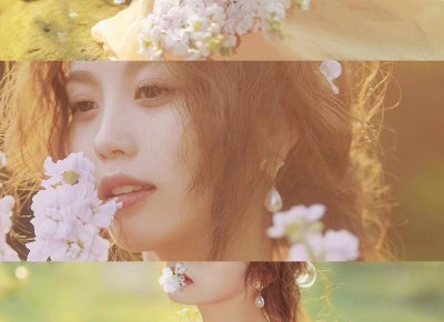 ​海贼王最稀有的果实（海贼王中最稀有的几个果实）