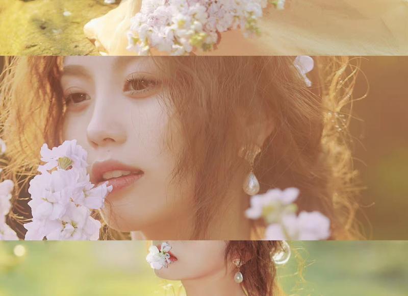 海贼王最稀有的果实（海贼王中最稀有的几个果实）