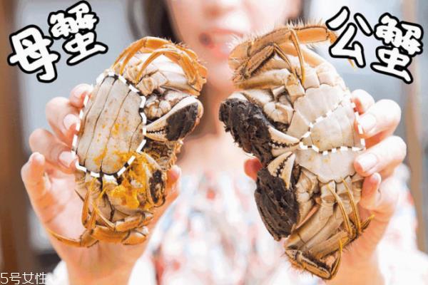 母大闸蟹腿上有毛吗 只在前边两条腿上有细细的绒毛 母大闸蟹腿上有毛吗 只在前边两条腿上有细细的绒毛