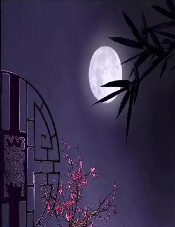 宋词赏析苏轼大江东去(水调歌头.明月几时有苏轼)(3)