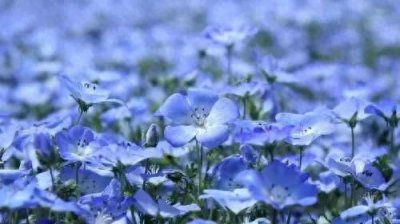 ​用高情商哄回生气的女朋友的20句话