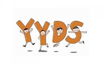 ​YYDS有几种意思