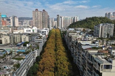 ​贵州长江汽车公司新能源重卡新产品研发顺利推进