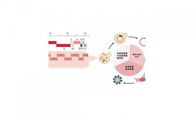 ​约会专家：约会吃的不是饭，是细节！