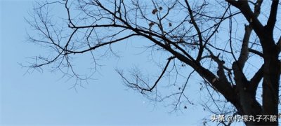 ​一个男人总想抱着你睡是因为爱还是性