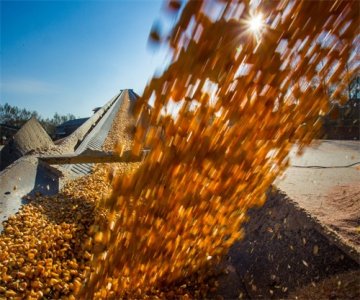 ​恋爱法则：如何敞开话题聊天