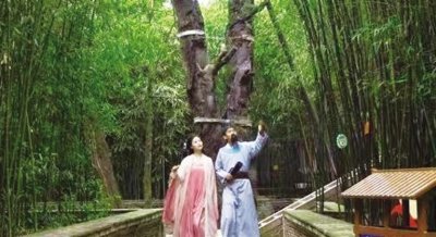 ​【旅游推介】天水南郭寺系列文化活动启动