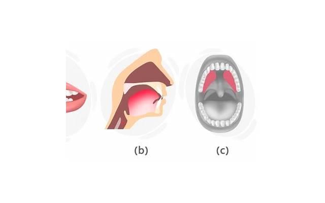 婚庆用品网，婚庆用品网店