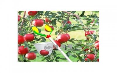 ​流脂贴的有效性和功效