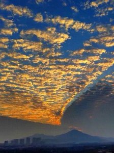 ​炒股就要以静制动，散户细品。