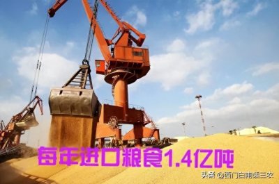 ​国家每年要进口1.4亿吨粮食，我国自己生产的粮食究竟够不够吃？