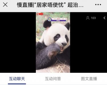 ​“滚滚”百科，你提问题我来答