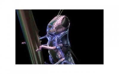 ​长期单身的人有五个特征吗