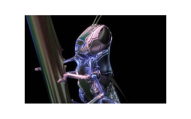 长期单身的人有五个特征吗 长期单身的人有五个特征吗