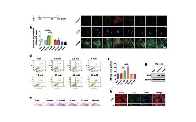 这样做最能挽回TA的心，成功率高达90%