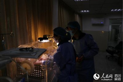 ​2020年全球首对圈养大熊猫双胞胎在四川成都诞生