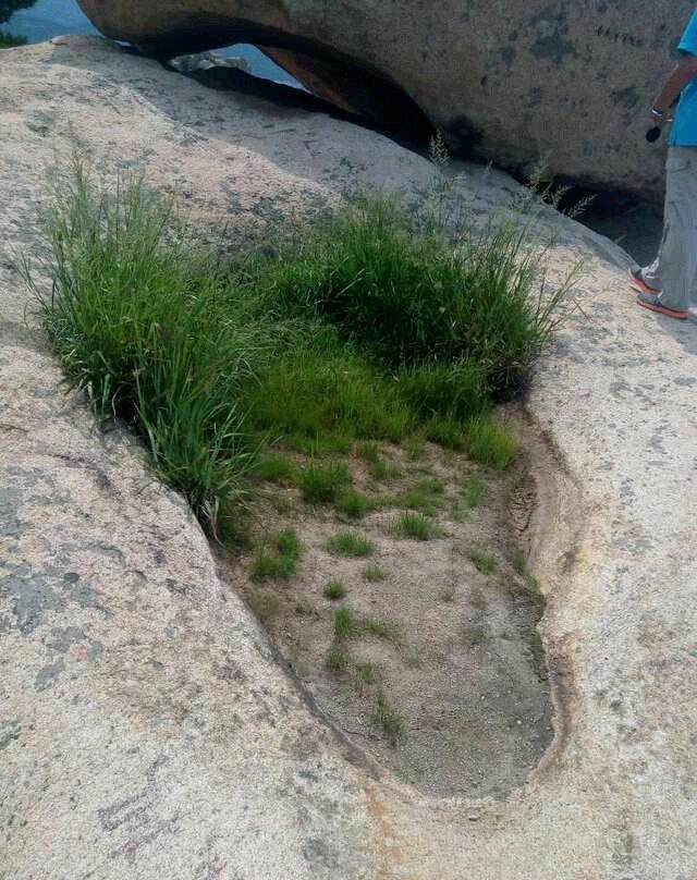 钟灵毓秀，海边仙山------即墨鹤山