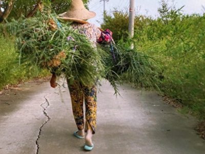 ​留守农村妇女的真实生活：35岁我亲身经历的辛酸与坚强