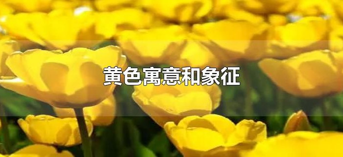 黄色寓意和象征