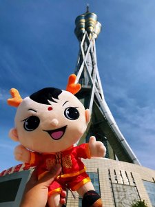 ​“中中”看郑州，争当火炬手之福塔篇