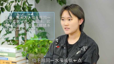 ​白色泰迪和比熊的区别是什么