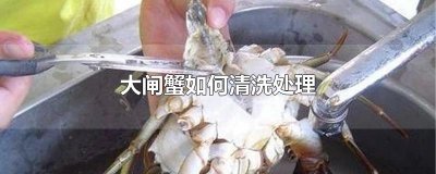 ​大闸蟹如何清洗处理